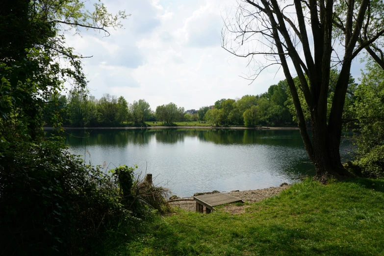 a bench sits near a lake and a wooded area