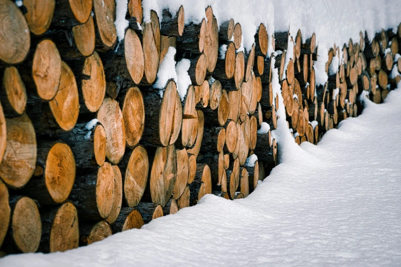 several piles of logs are piled high up on a snowy bank