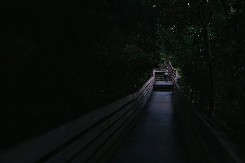 dark tunnel between two benches on each side and dark forest on the other