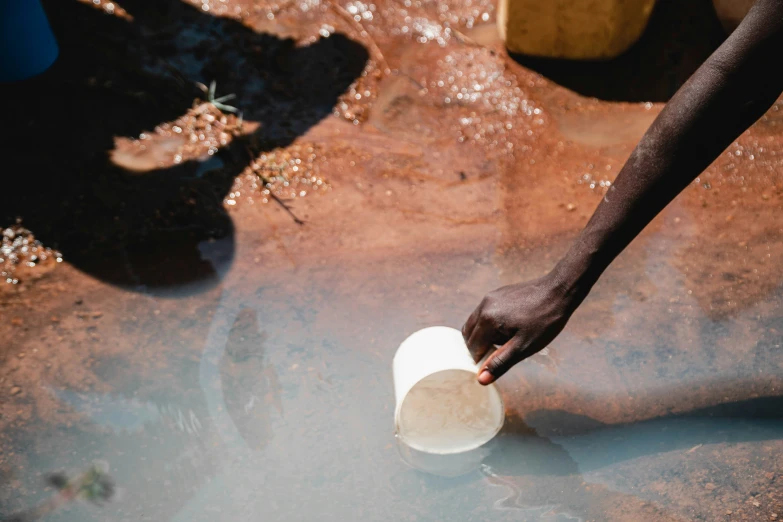 an image of a woman picking up soing out of the water