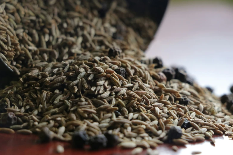 a bunch of seeds are scattered in a bowl