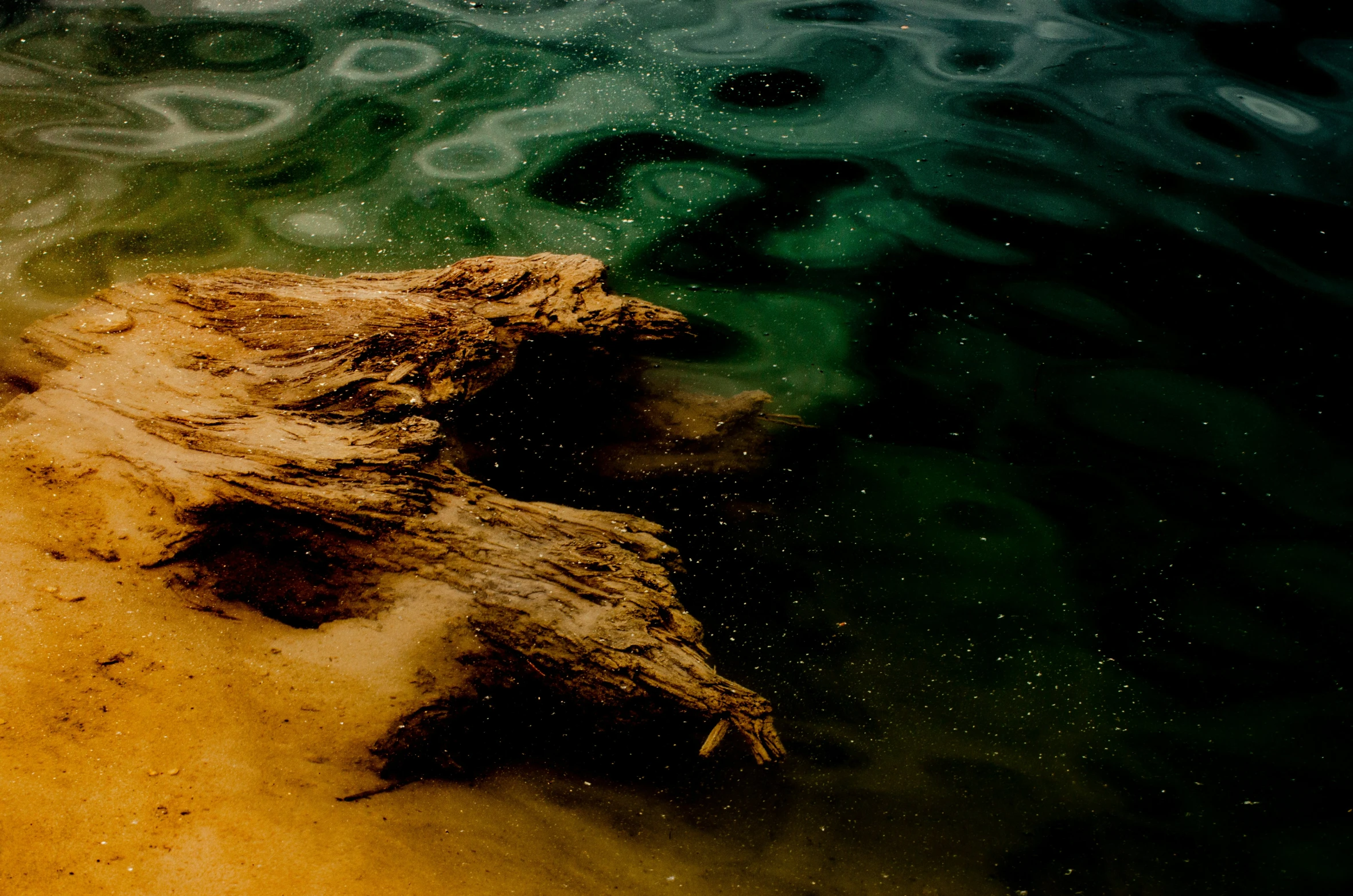 the rocks are all covered up and are floating in water