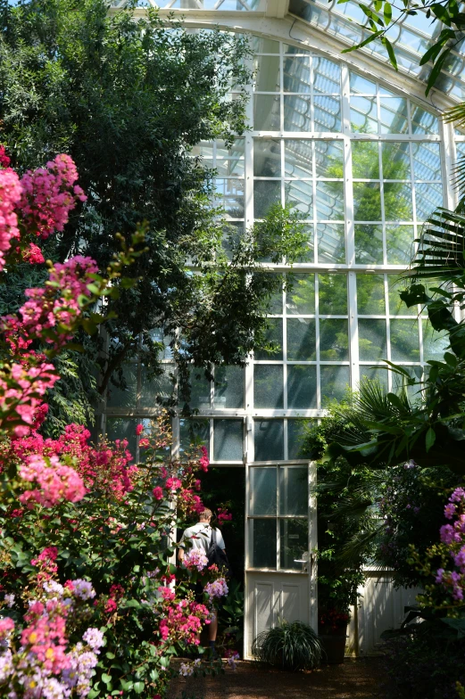 a building with many plants growing around the walkway