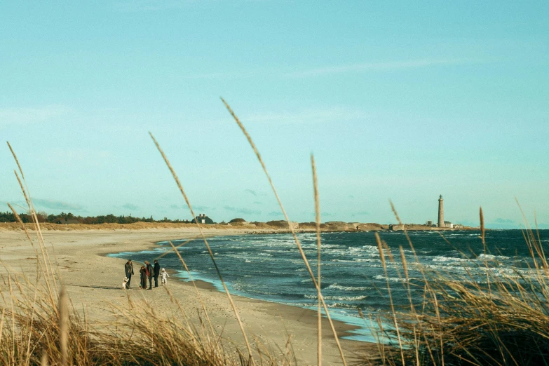 some long brown grass and water and people