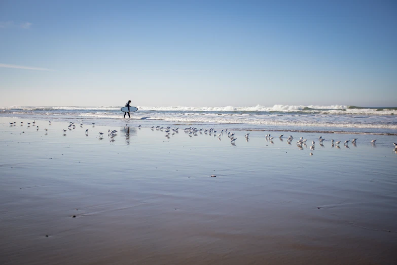 a person riding a surf board on top of a wave covered beach