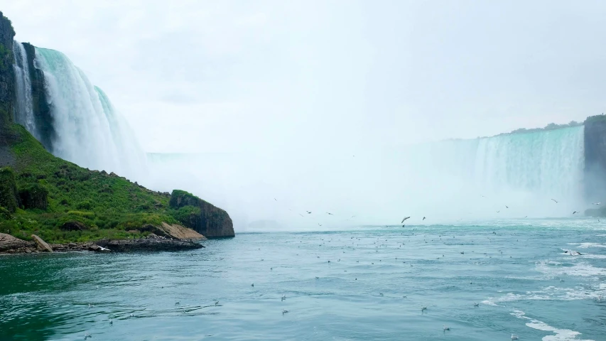 two birds fly past the side of the waterfall