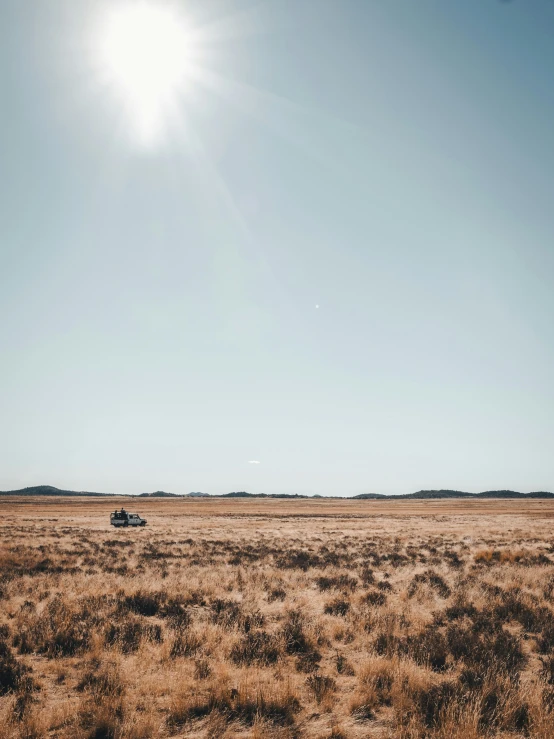 the sun is shining in a field on a clear day