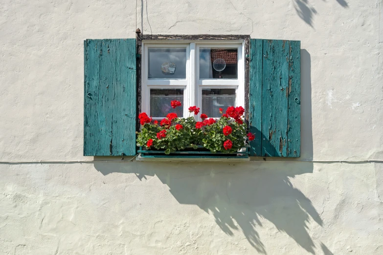 the window in the house has an old fashioned window