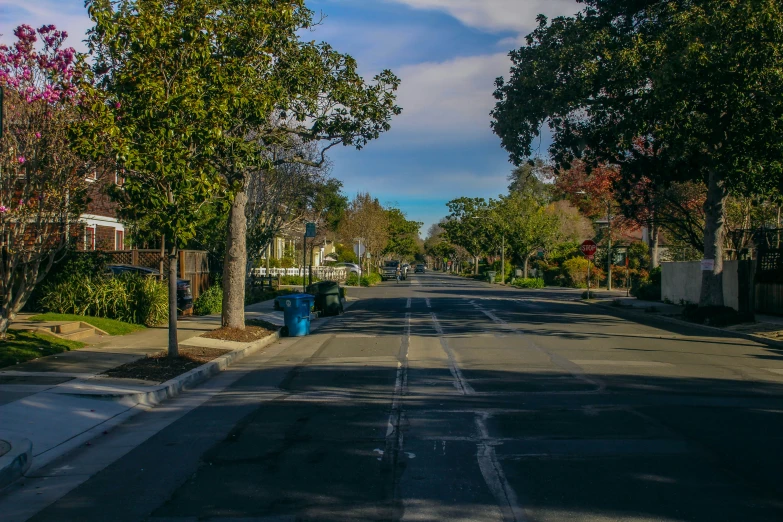 a street with lots of trees lining it and trash cans