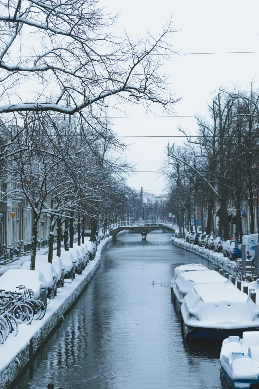 a river runs through an empty area with snow on the ground