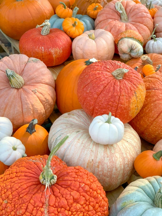 a pile of pumpkins are piled on top of each other