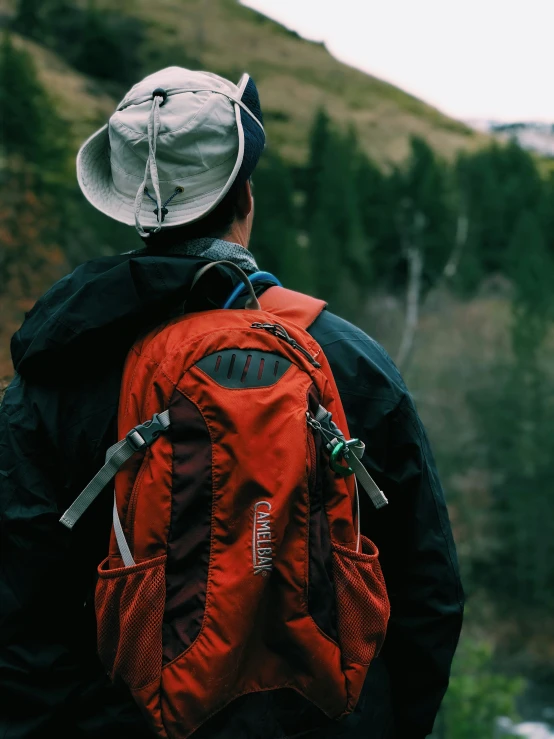 a man with a backpack looks out over the mountains