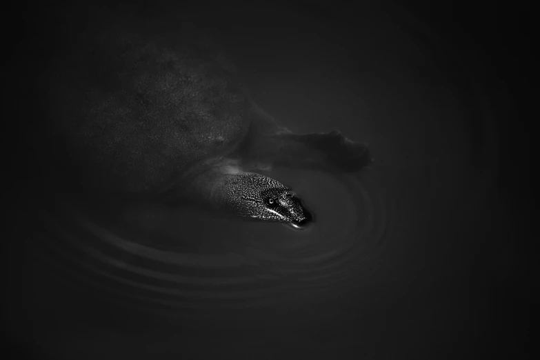 a black and white po of water with bubbles