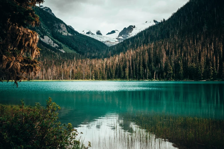 a blue body of water surrounded by trees and mountains