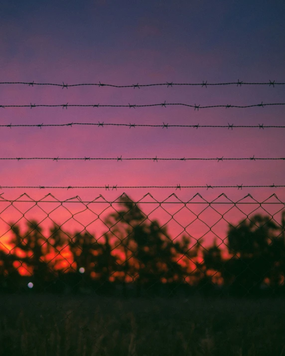 a bird sits on a barbed wire fence at sunset