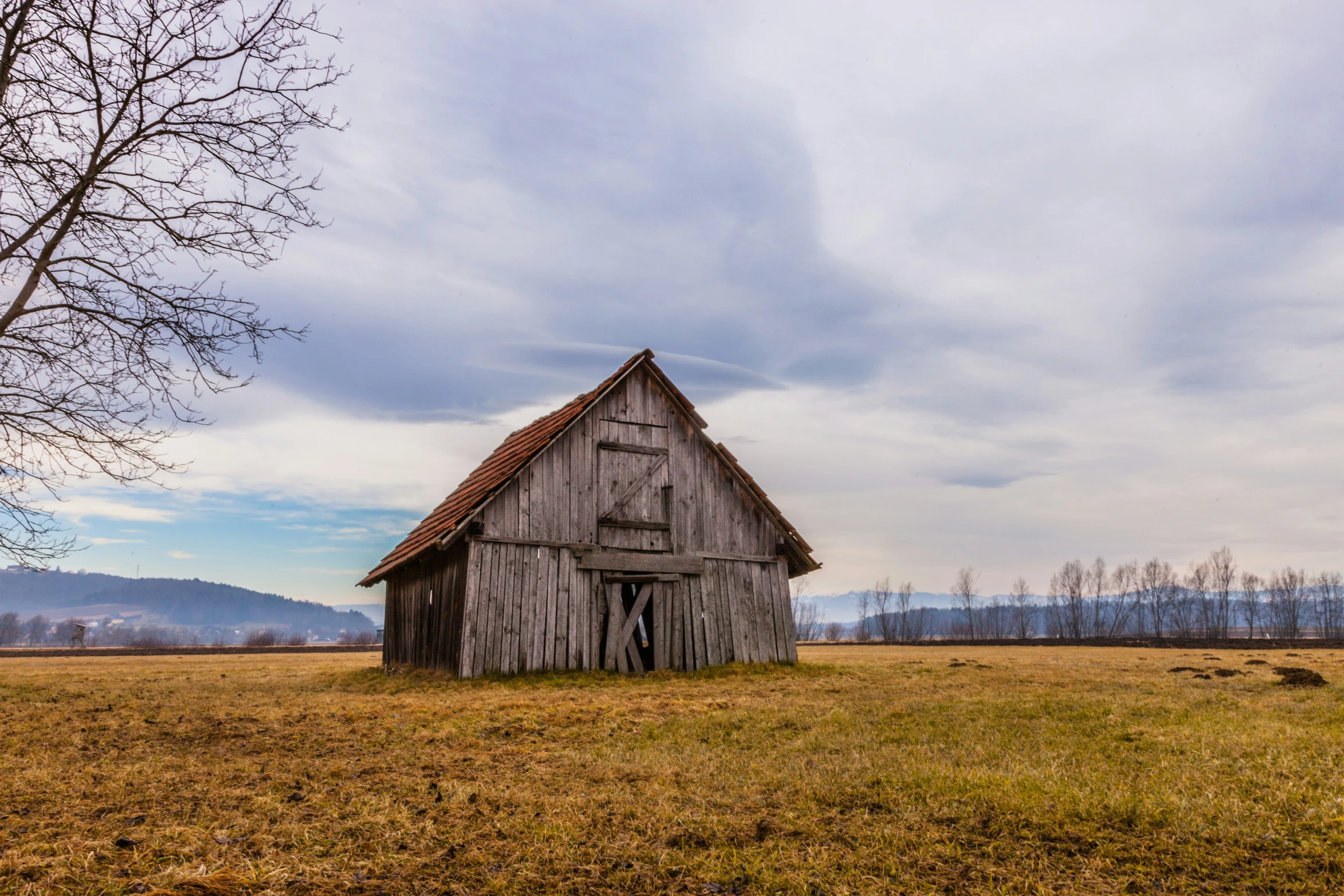 a barn on a field with a tree