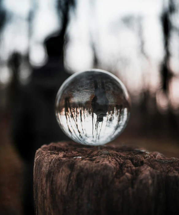 a small bubble filled with water floating on top of a tree stump