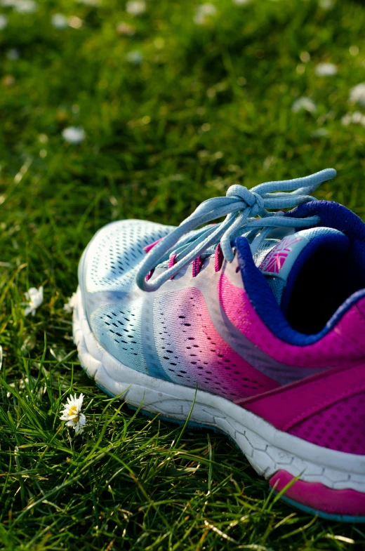 a pair of sneakers on the grass with daisies around them