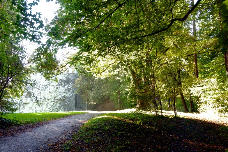 the road is lined with trees and grassy area