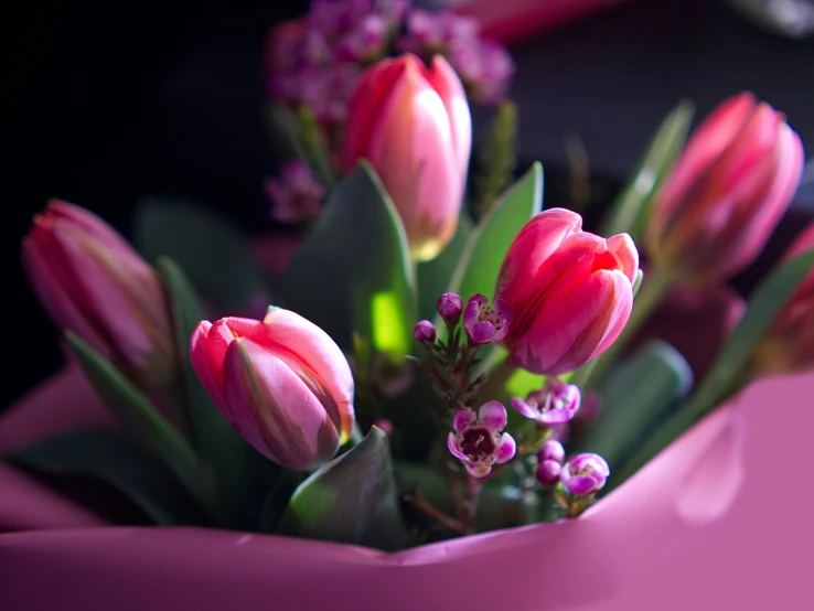 pink flowers and green leaves are in a pink vase