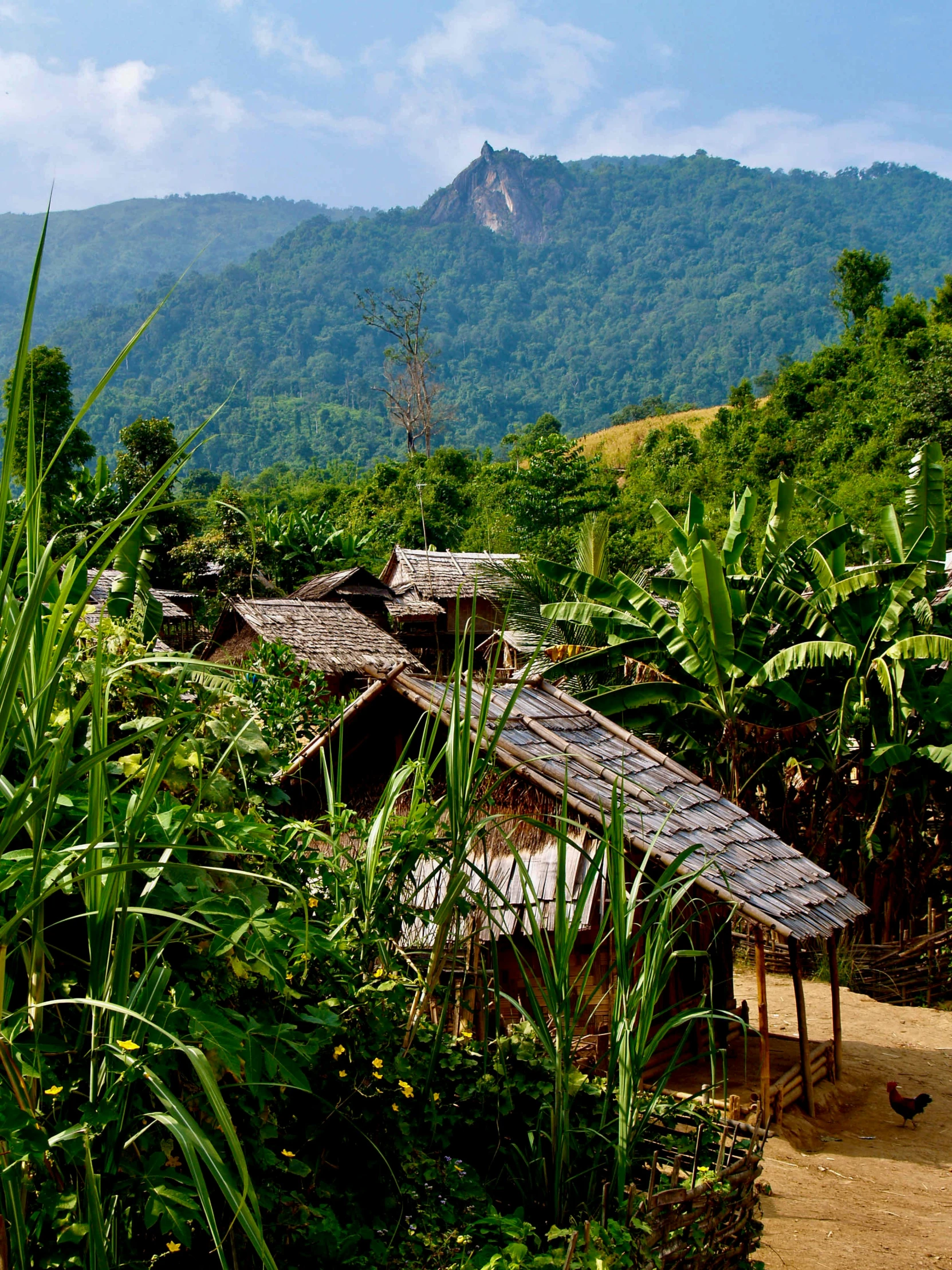 a field with some houses and mountains in the background