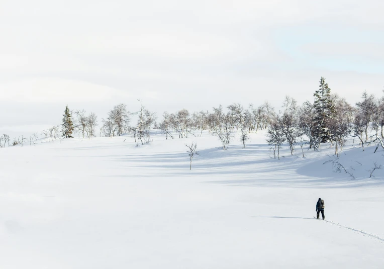 the skier is headed up the hill with ski poles in his hand