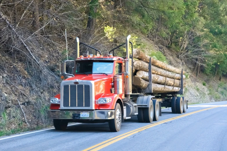 a truck with logs on the back of it traveling down a road