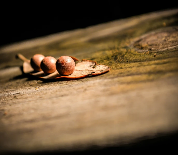 three eggs lay on a bench next to each other