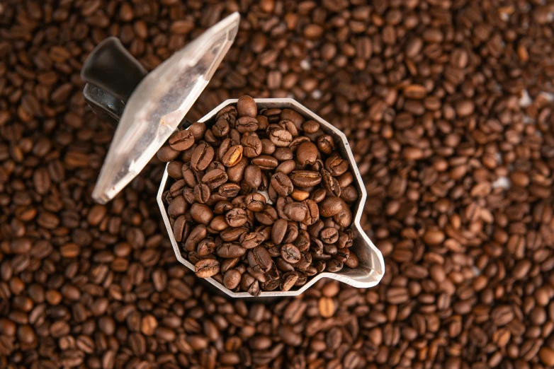 a ground coffee cup sitting on top of some coffee beans