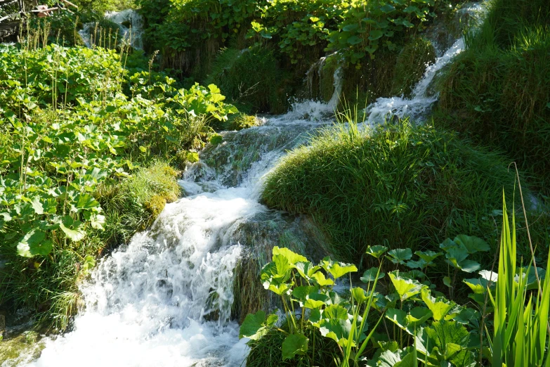 water gushing down a mountain side area in the sun