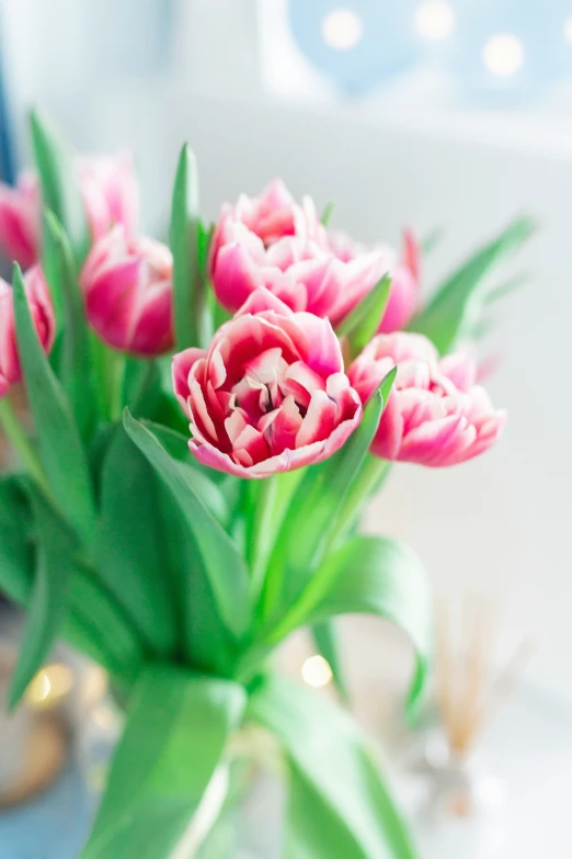 a pink flowers arrangement sitting in a clear vase