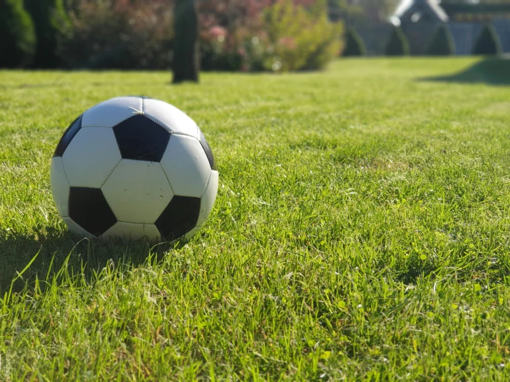 the soccer ball is lying on the green grass