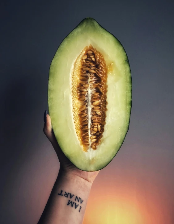 the skin of an avocado is visible, and the skin of a kiwi is shown in this close up po