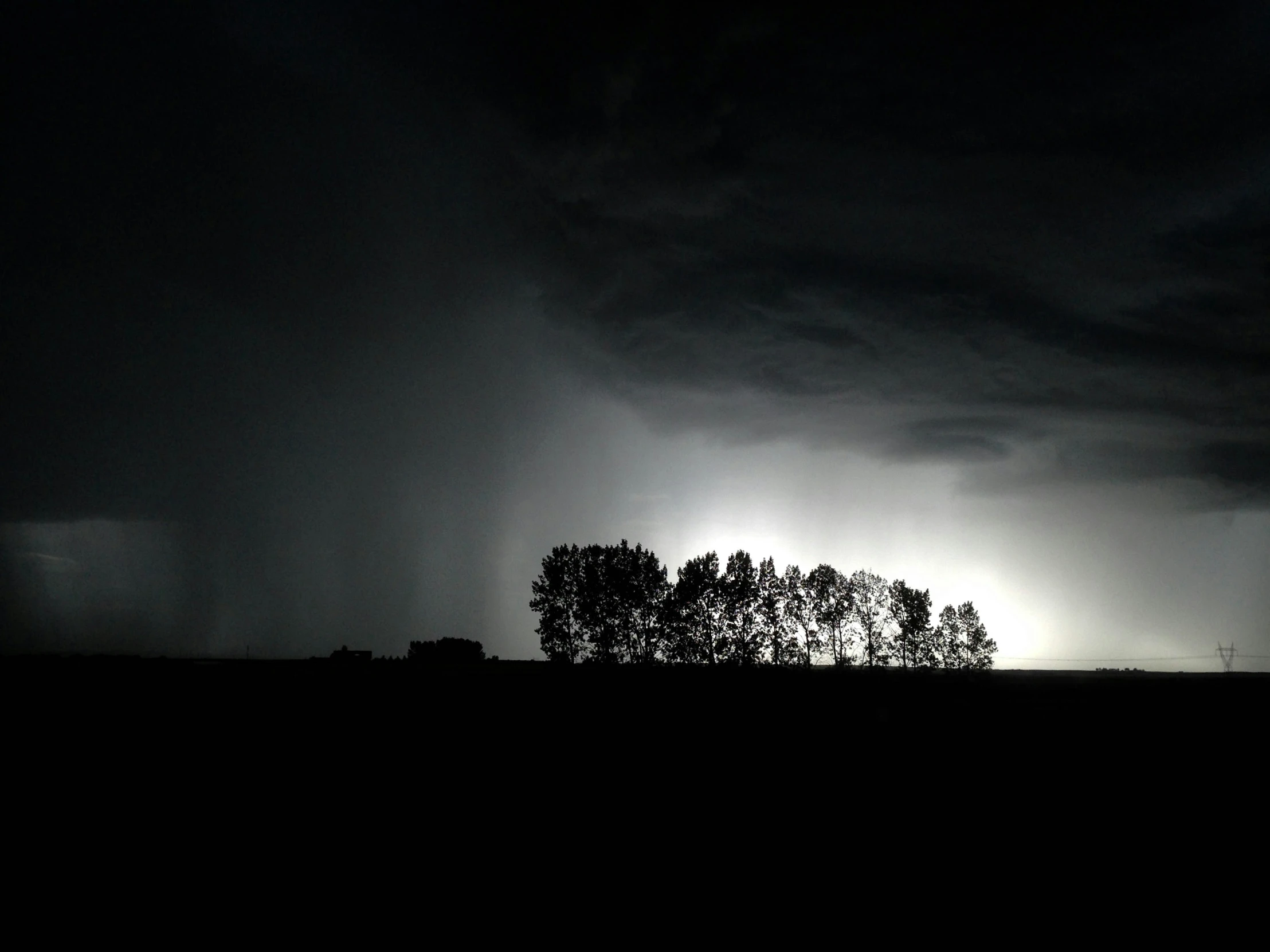 a dark night with a lone tree on the edge