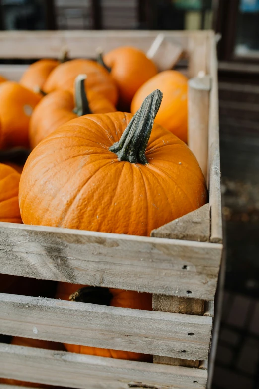 crates of pumpkins that are all different sizes