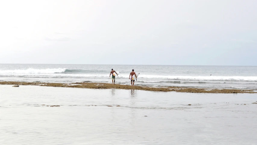 a couple of people are walking along the beach