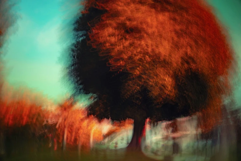 the image is blurry and shows a large tree