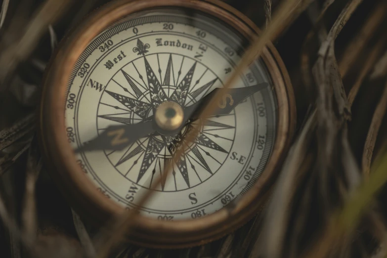 a compass lies in some brown leaves