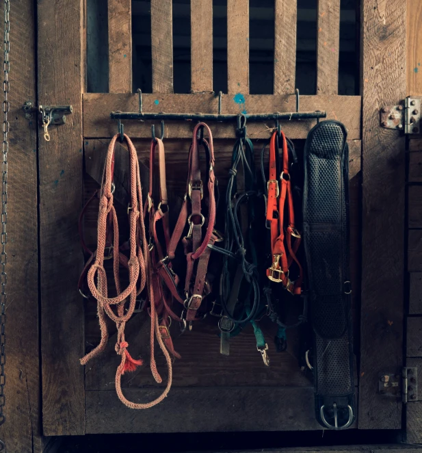 several leashes hanging up on a wooden gate