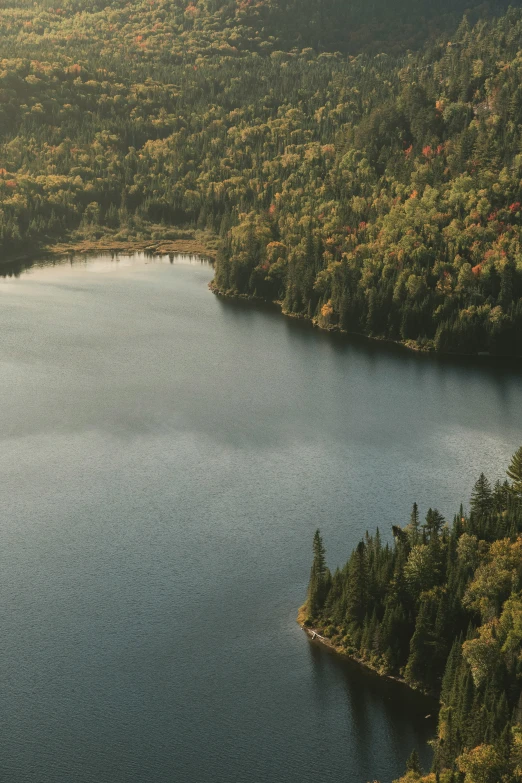 a lake surrounded by forest with lots of water