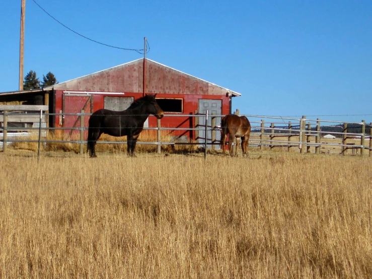 two horses in a fenced off pasture next to a red barn