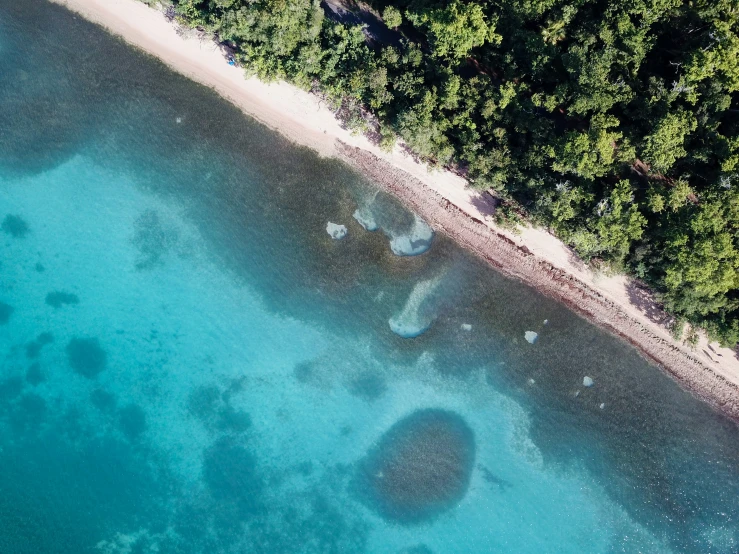 the water is crystal blue and clear by the beach