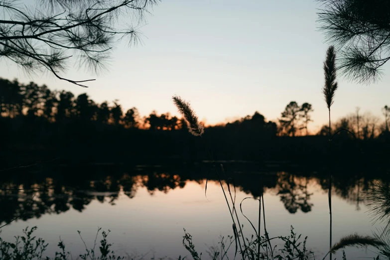 the sun setting over some water near a forest