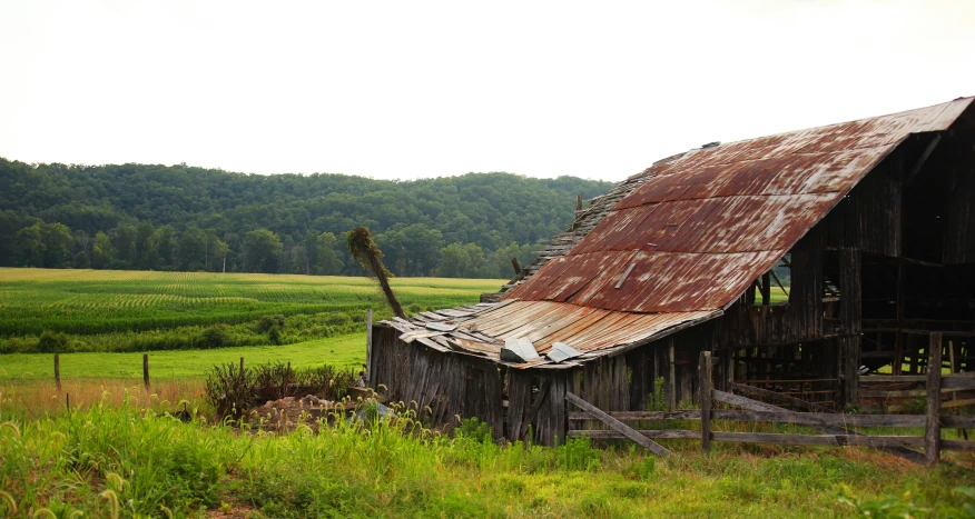 a building with a metal roof is in a field