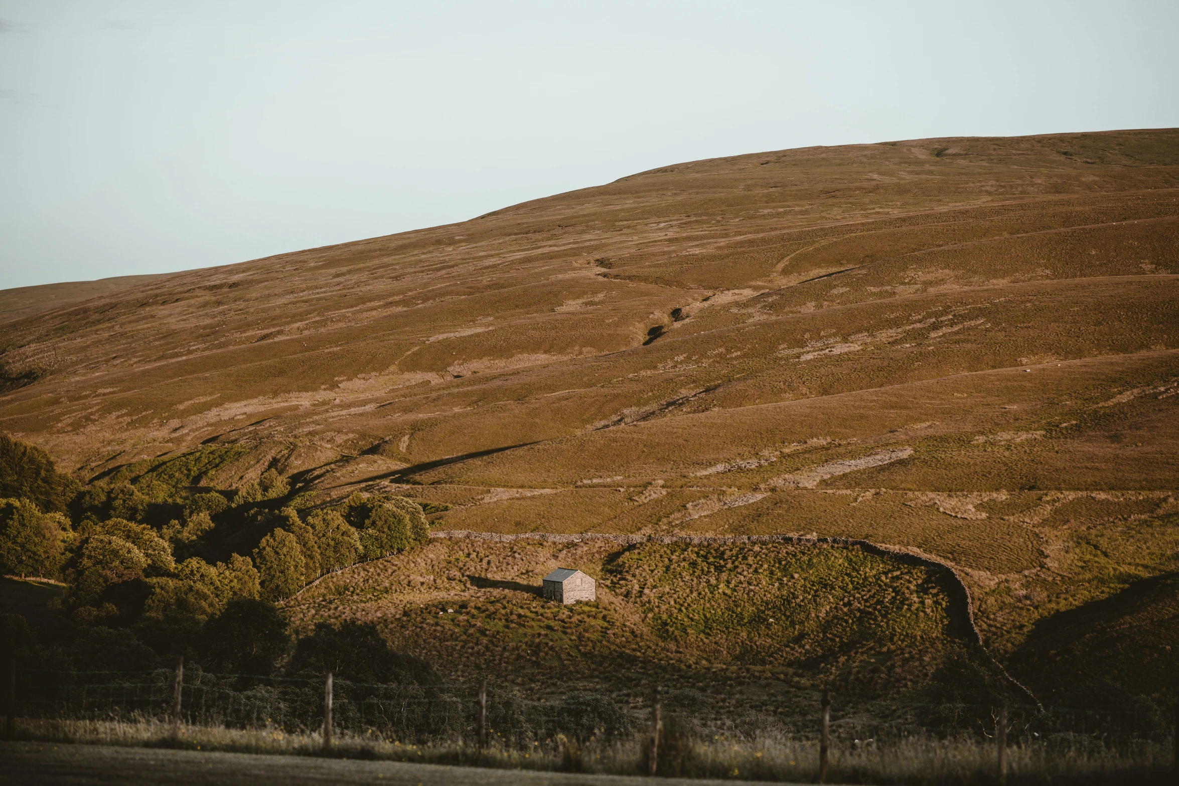 this hill has been dug to hold a sheep