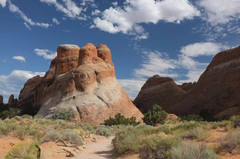 rocks in the desert with grass growing around them