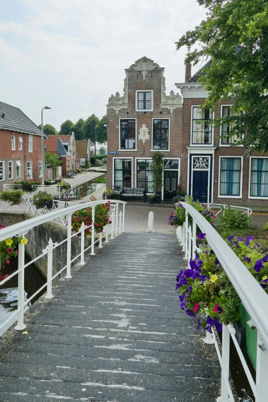 walkway with flowers in the foreground and flowers outside