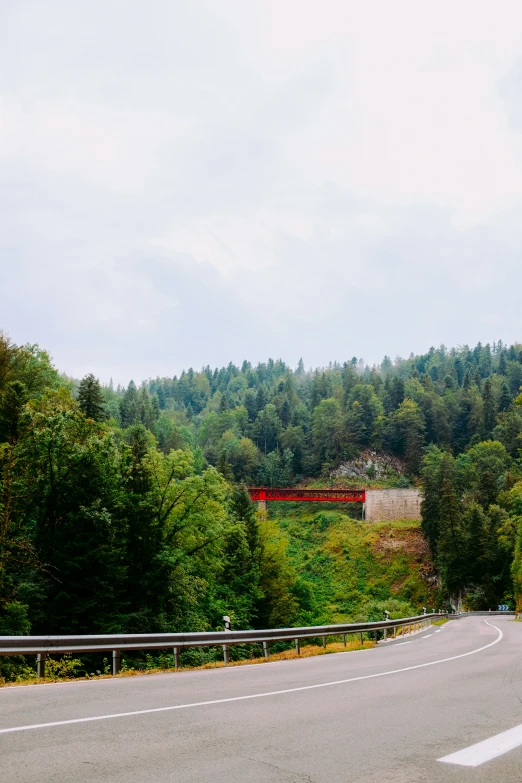 a road that is surrounded by some trees