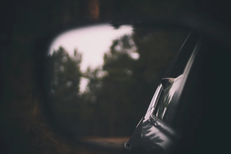 trees seen in side view mirror on vehicle