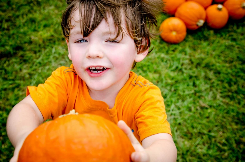 a child holds a small pumpkin in front of a field of pumpkins